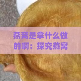 燕窝是拿什么做的啊：探究燕窝的食材与制作方法