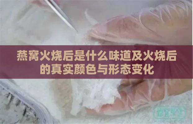 燕窝火烧后是什么味道及火烧后的真实颜色与形态变化