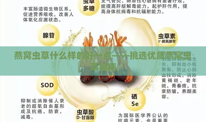 燕窝虫草什么样的好一点——挑选优质燕窝虫草指南