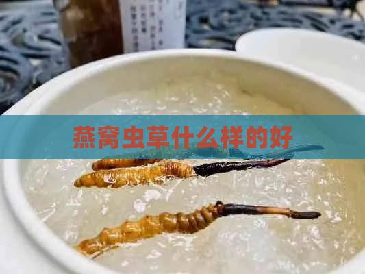 燕窝虫草什么样的好