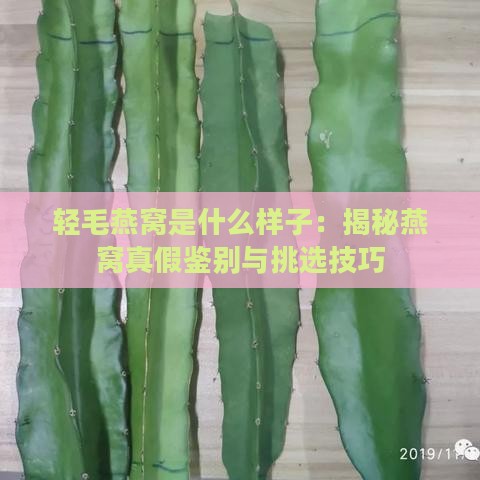 轻毛燕窝是什么样子：揭秘燕窝真假鉴别与挑选技巧