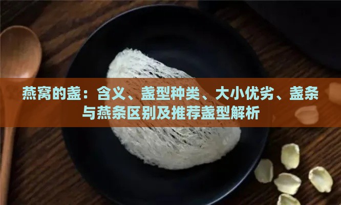 燕窝的盏：含义、盏型种类、大小优劣、盏条与燕条区别及推荐盏型解析