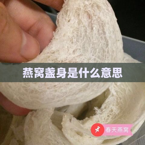 燕窝盏身是什么意思