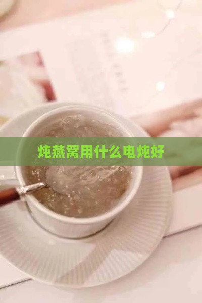 炖燕窝用什么电炖好