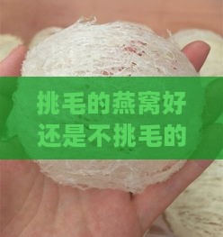 挑毛的燕窝好还是不挑毛的燕窝好：口感、品质对比与选择