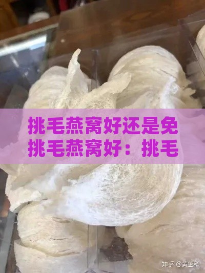 挑毛燕窝好还是免挑毛燕窝好：挑毛与免挑毛燕窝口感对比及挑选疑虑解析