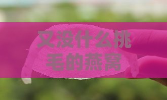 又没什么挑毛的燕窝