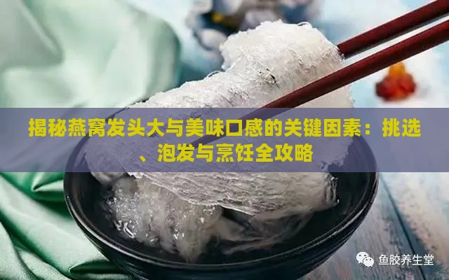 揭秘燕窝发头大与美味口感的关键因素：挑选、泡发与烹饪全攻略