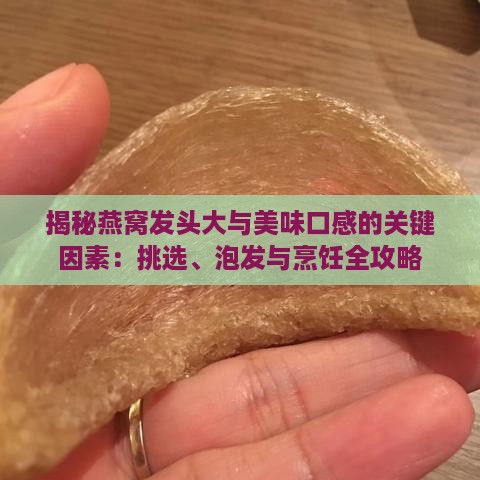 揭秘燕窝发头大与美味口感的关键因素：挑选、泡发与烹饪全攻略