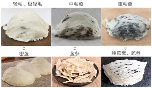 纯天然燕窝原品：精选优质原料，深度解析燕窝的营养与功效