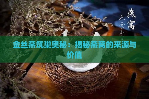 金丝燕筑巢奥秘：揭秘燕窝的来源与价值