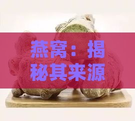 燕窝：揭秘其来源、成分与食用价值，解开是否为鸟窝之谜