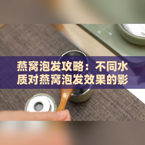 燕窝泡发攻略：不同水质对燕窝泡发效果的影响与选择指南