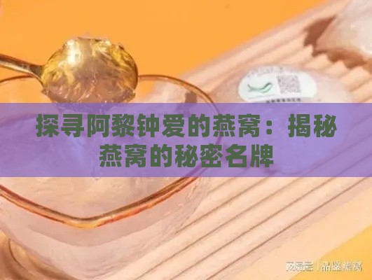 探寻阿黎钟爱的燕窝：揭秘燕窝的秘密名牌