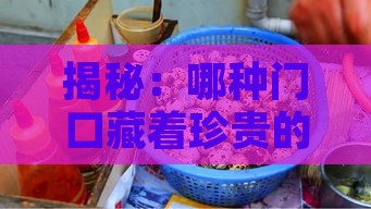 揭秘：哪种门口藏着珍贵的燕窝秘密