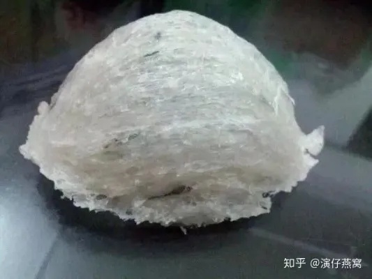 天然燕窝长什么样的样子及其形成过程与纯天然特征解析