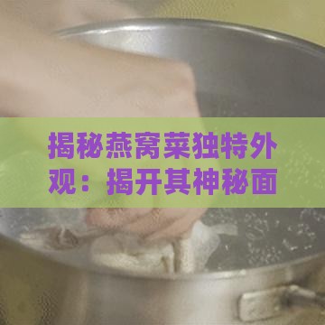 揭秘燕窝菜独特外观：揭开其神秘面纱