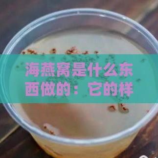 海燕窝是什么东西做的：它的样子与制作原料揭秘