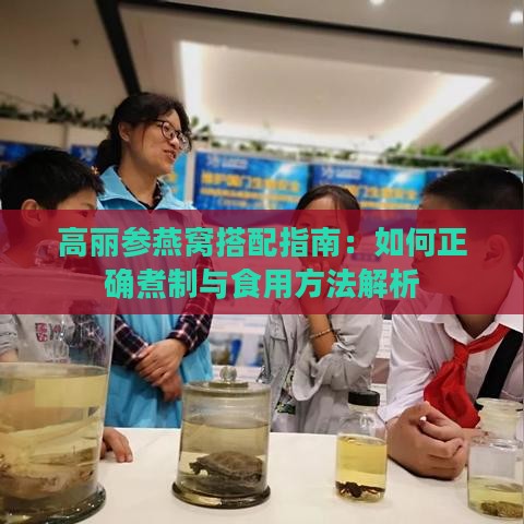 高丽参燕窝搭配指南：如何正确煮制与食用方法解析