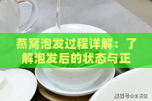 燕窝泡发过程详解：了解泡发后的状态与正确处理方法