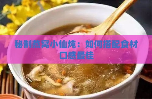 秘制燕窝小仙炖：如何搭配食材口感更佳