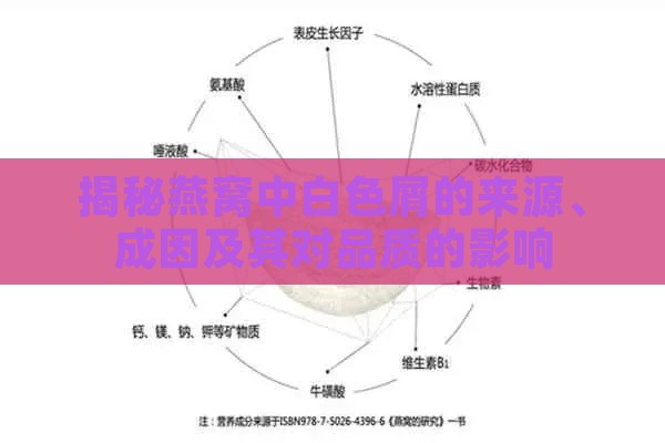 揭秘燕窝中白色屑的来源、成因及其对品质的影响