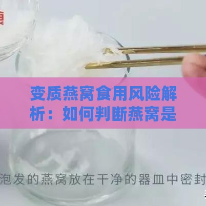 变质燕窝食用风险解析：如何判断燕窝是否变质