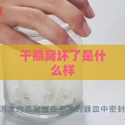 干燕窝坏了是什么样