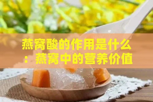 燕窝酸的作用是什么：燕窝中的营养价值与功效解析