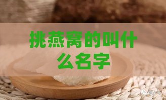 挑燕窝的叫什么名字