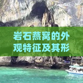 岩石燕窝的外观特征及其形成原因揭秘：全面解读岩石燕窝的形态与价值