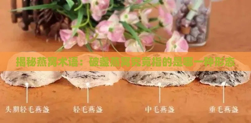 揭秘燕窝术语：破盏燕窝究竟指的是哪一种形态