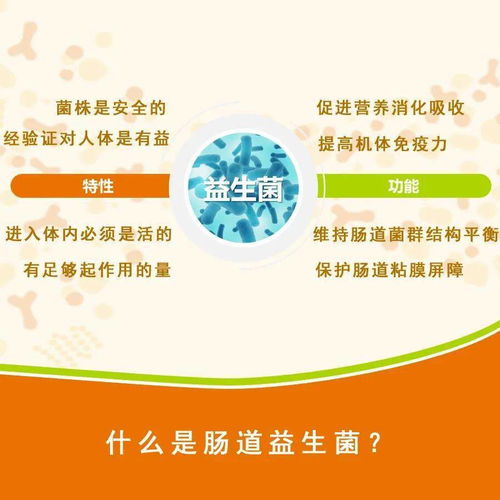 燕窝搭配哪些食材对肺癌患者有益？全面指南助力健康调养