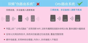 自用燕窝选购指南：深度解析性价比之王，满足各类需求的更佳选择