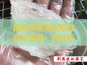 揭秘燕窝泡发后的真实面貌：观其形态与质地变化