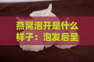 燕窝泡开是什么样子：泡发后呈条状或片状的具体形态