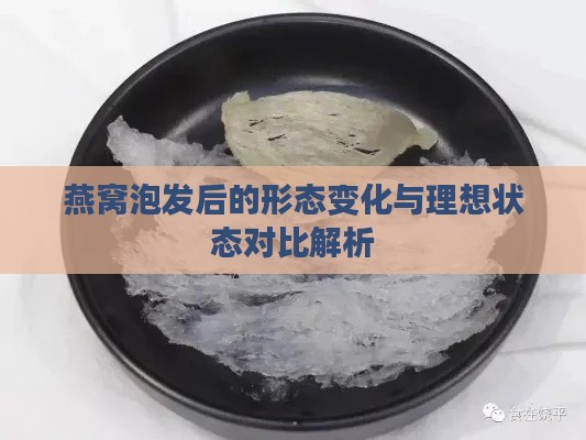 燕窝泡发后的形态变化与理想状态对比解析