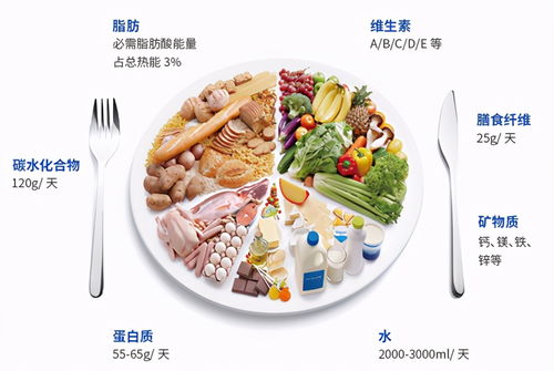 糖尿病适宜燕窝食谱与搭配指南：全面解析低糖低脂健康吃法