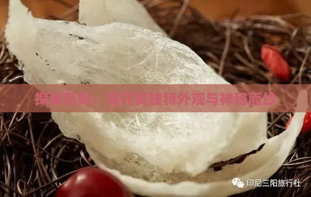 探秘燕窝：揭开其独特外观与神秘面纱