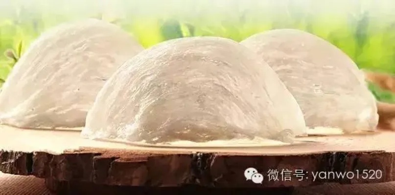 探秘燕窝：揭开其独特外观与神秘面纱