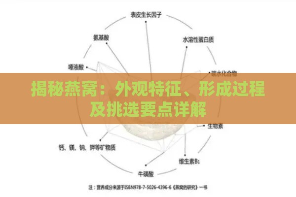 揭秘燕窝：外观特征、形成过程及挑选要点详解