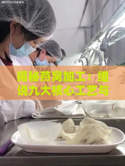 揭秘燕窝加工：细说九大核心工艺与技术要点