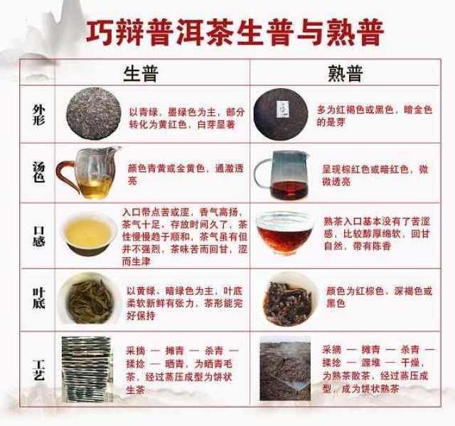 燕窝市场价位解析：全面揭秘不同品质燕窝价格区间与选购指南