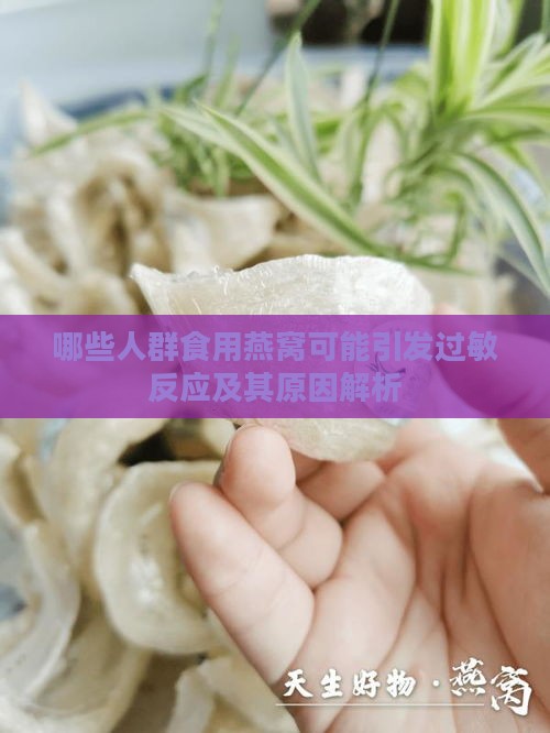 哪些人群食用燕窝可能引发过敏反应及其原因解析