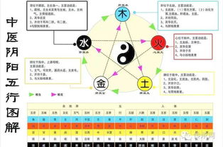 燕窝五行属性属什么意思：燕窝的五行属性与行业特点及禁忌解析