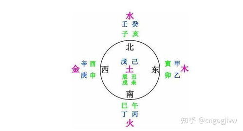 燕窝五行属性属什么意思：燕窝的五行属性与行业特点及禁忌解析