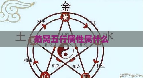 燕窝五行属性属什么