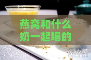 燕窝和什么奶一起喝的好：挑选更佳搭配牛奶提升口感与营养