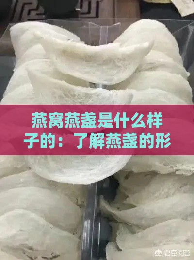 燕窝燕盏是什么样子的：了解燕盏的形状与含义