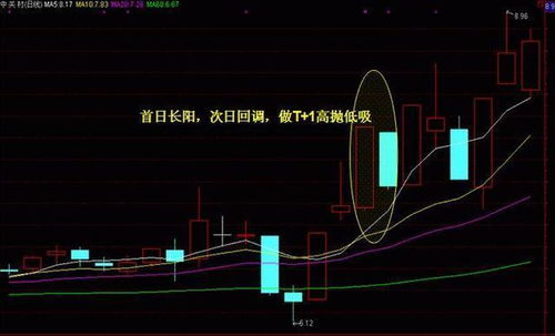 燕窝：揭开其神秘面纱，深入了解来源、功效与食用方法